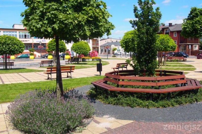 Ruszyła kolejna edycja konkursu "Pięknieje wielkopolska wieś"