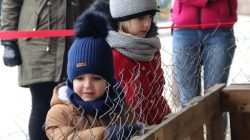 Stajnia Roka. Orszak Trzech Króli