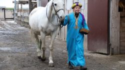 Stajnia Roka. Orszak Trzech Króli