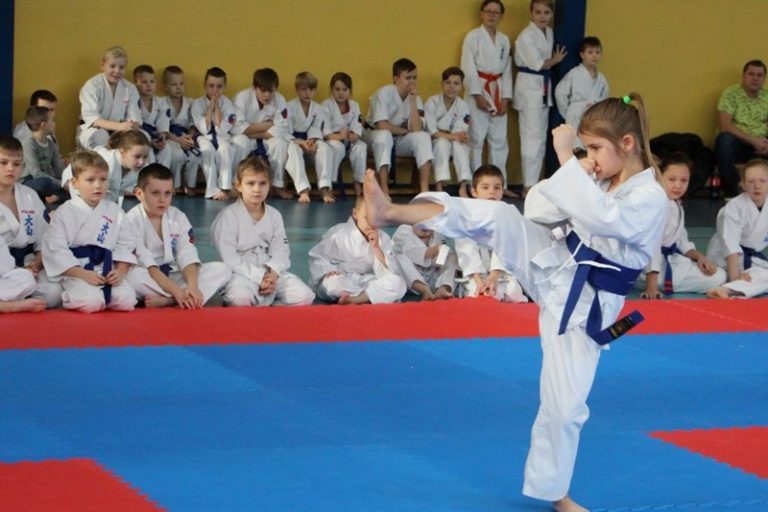 Zawodnicy Karate Oyama rywalizowali w kata i soft-kijach
