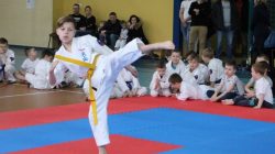 Zawodnicy Karate Oyama rywalizowali w kata i soft-kijach