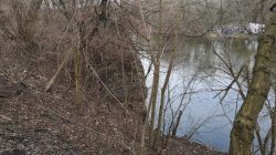 Michał Rosiak. Poszukiwania nad Wartą (fot. W. Karbowy)