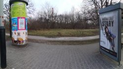 Michał Rosiak. Poszukiwania nad Wartą (fot. W. Karbowy)