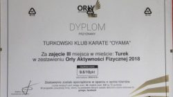 Turkowski Klub Karate z nagrodą Orły Aktywności Fizycznej
