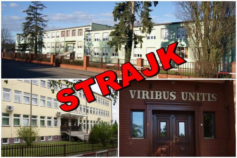 Strajk nauczycieli. Szkoły średnie powiatu tureckiego
