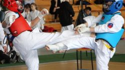 Mistrzostwa Makroregionu Centralnego w Kumite