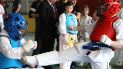 Mistrzostwa Makroregionu Centralnego w Kumite