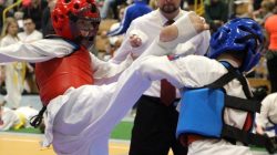 Mistrzostwa Makroregionu Centralnego w Kumite