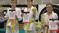 Mistrzostwa Makroregionu Centralnego w Kumite