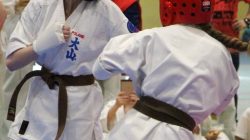 Mistrzostwa Makroregionu Centralnego w Kumite