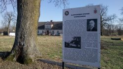 Turek. Uczniowie z “Piątki” walczą o mandat posła Sejmu Dzieci i Młodzieży