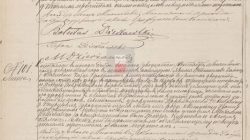 Turek. Uczniowie z “Piątki” walczą o mandat posła Sejmu Dzieci i Młodzieży