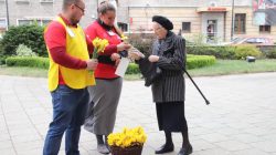 Turek. Żonkil nadziei