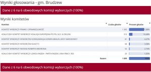 Wybory do PE 2019 -Brudzew