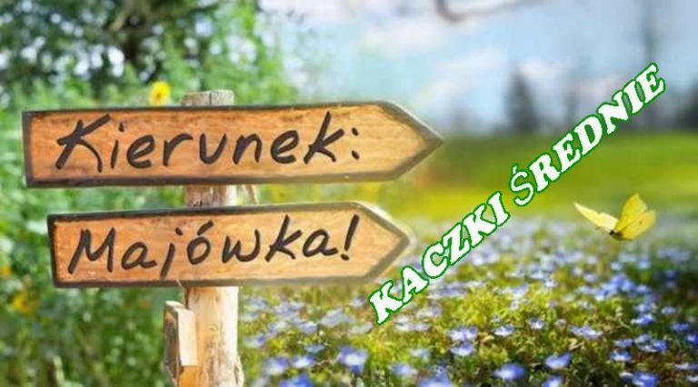 Kaczki Średnie. Majówka