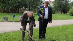 Turek. Powstała Aleja Wolności