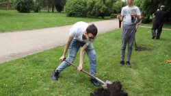 Turek. Powstała Aleja Wolności