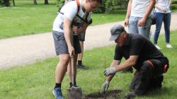Turek. Powstała Aleja Wolności