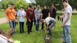 Turek. Powstała Aleja Wolności