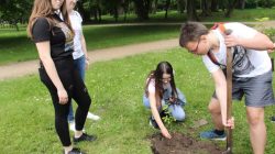 Turek. Powstała Aleja Wolności