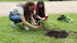 Turek. Powstała Aleja Wolności