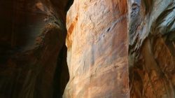 Karol Budziński. Amerykańskie klimaty