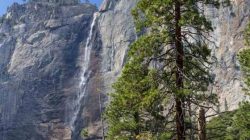 Karol Budziński. Amerykańskie klimaty