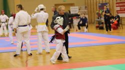 Turek. Puchar Wielkopolski Karate SHINKyokushinkai
