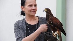 Turek. Noc Muzeów 2019