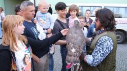 Turek. Noc Muzeów 2019