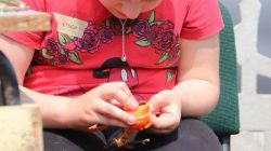 Dobra. Dzień Dziecka w Miłkowicach