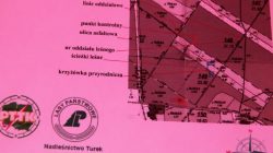 Turek. TurIno 2019