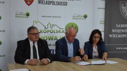 Dąbrowa. Pięknieje Wielkopolska Wieś