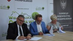 Dąbrowa. Pięknieje Wielkopolska Wieś