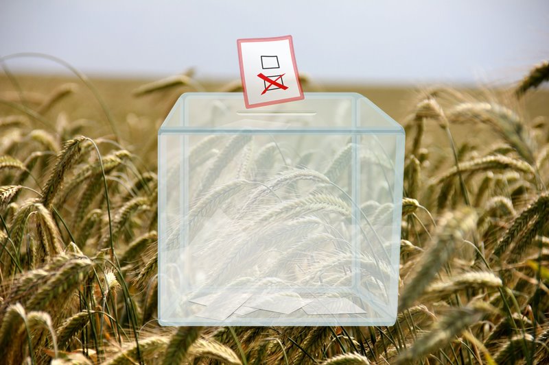 Wybory do izb rolniczych. Znamy oficjalne wyniki