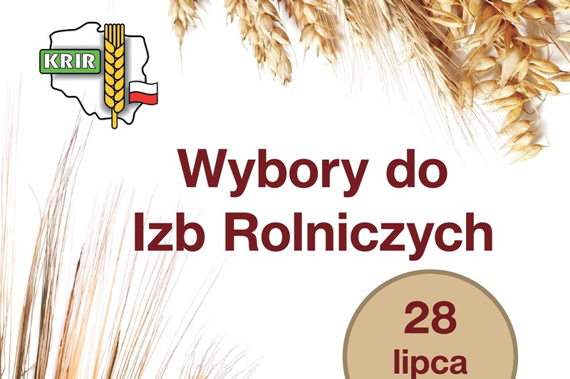 WIR wybory