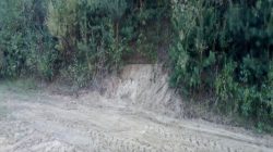 Dobra. Śmieci na terenie „strzelnicy” Golimówka - teren już posprzątany