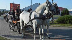 Konna pielgrzymka do Lichenia