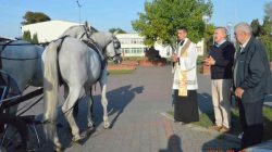 Konna pielgrzymka do Lichenia