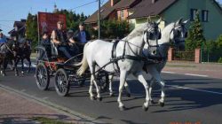 Konna pielgrzymka do Lichenia