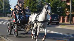 Konna pielgrzymka do Lichenia