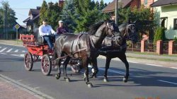 Konna pielgrzymka do Lichenia