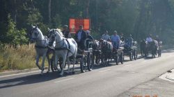 Konna pielgrzymka do Lichenia