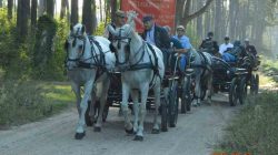 Konna pielgrzymka do Lichenia