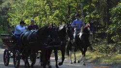 Konna pielgrzymka do Lichenia