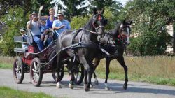 Konna pielgrzymka do Lichenia