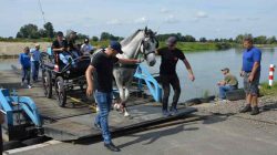 Konna pielgrzymka do Lichenia