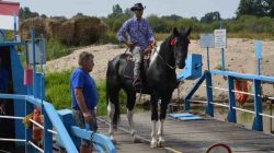 Konna pielgrzymka do Lichenia