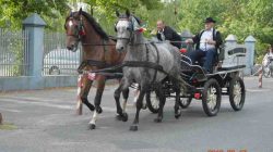 Konna pielgrzymka do Lichenia