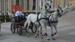 Konna pielgrzymka do Lichenia